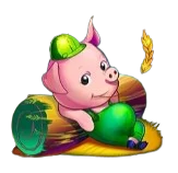 Piggy3
